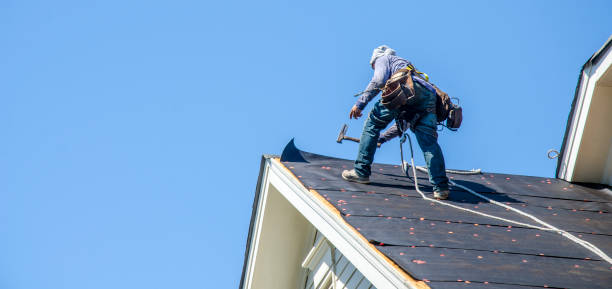 Best Roof Gutter Cleaning  in Watkinsville, GA